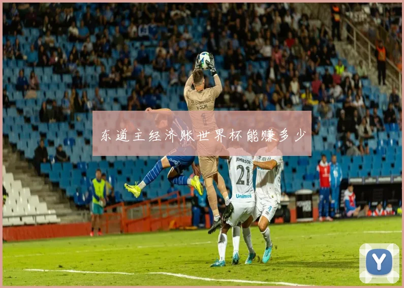 东道主经济账世界杯能赚多少