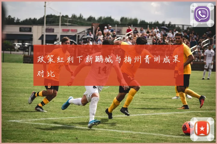政策红利下新鹏城与梅州青训成果对比