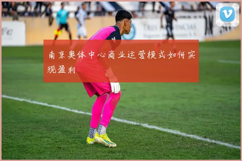 南京奥体中心商业运营模式如何实现盈利